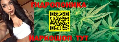 apvp Дубна
