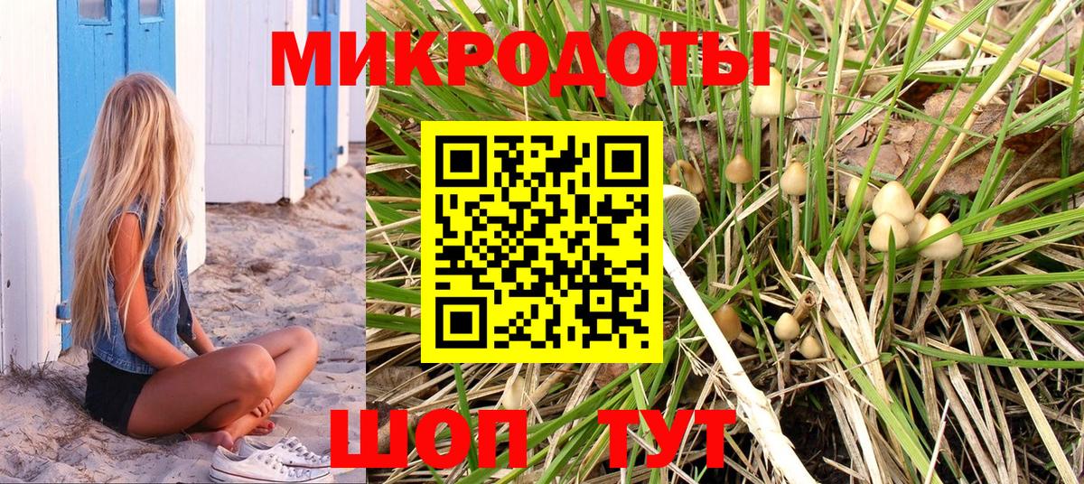 Галлюциногенные грибы мухоморы Радужный
