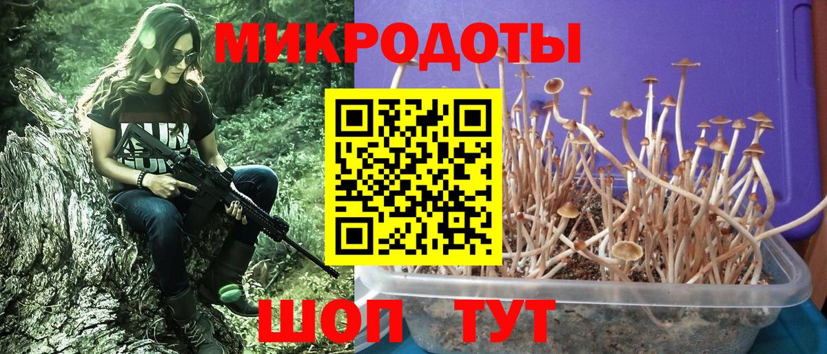 Псилоцибиновые грибы прущие грибы  Вход с VPN  Радужный 